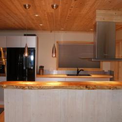 Contemporary silver aluminum cabinets with butcher block countertops